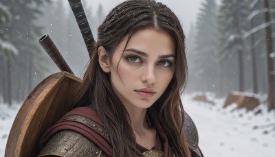 1girl,solo,long hair,looking at viewer,brown hair,brown eyes,closed mouth,upper body,weapon,braid,outdoors,sword,armor,blurry,tree,lips,grey eyes,blurry background,shoulder armor,portrait,nature,snow,forest,headwear removed,freckles,pauldrons,snowing,realistic,nose,winter,weapon on back,chainmail,black hair,hat,green eyes,depth of field,thick eyebrows,forehead