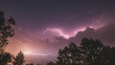 outdoors,sky,cloud,water,tree,no humans,night,cloudy sky,star (sky),nature,night sky,scenery,forest,starry sky,sunset,horizon,electricity,lightning,purple sky,bush,dark,landscape