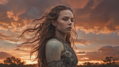 1girl,solo,long hair,blue eyes,brown hair,closed mouth,upper body,outdoors,sky,cloud,armor,blurry,from side,tree,lips,cloudy sky,nature,freckles,sunset,realistic,nose,looking afar,chainmail,wind,forest,mountain,dusk