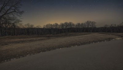 outdoors,sky,tree,no humans,night,grass,star (sky),nature,night sky,scenery,forest,starry sky,sunset,bare tree,road