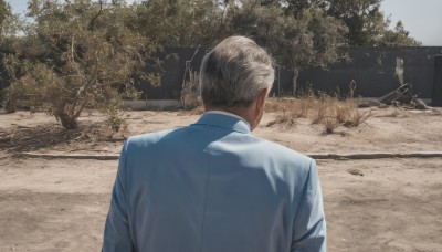 solo,short hair,blonde hair,shirt,long sleeves,1boy,jacket,white shirt,upper body,grey hair,male focus,outdoors,day,collared shirt,from behind,tree,formal,suit,blue shirt,scenery,realistic,facing away,road,photo background,sky