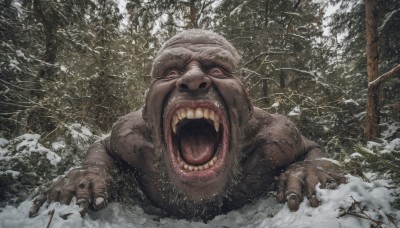 solo,looking at viewer,open mouth,outdoors,teeth,tongue,tree,no humans,nature,claws,snow,forest,monster,realistic,bare tree,bear,horror (theme),lying,snowing,screaming