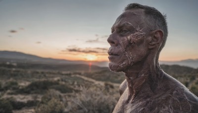 solo,short hair,black hair,1boy,closed mouth,upper body,male focus,outdoors,sky,dark skin,blurry,from side,profile,blurry background,scar,portrait,scenery,science fiction,sunset,mountain,realistic,nude,cloud,tattoo,scar on face,very short hair,sunrise