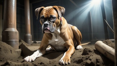 HQ,solo,looking at viewer,brown eyes,full body,tongue,indoors,no humans,animal,sunlight,claws,light rays,realistic,ruins,animal focus,pillar,statue,whiskers,tiger,lion,column,open mouth,tongue out,collar,dog,spotlight