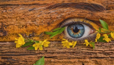 blue eyes,flower,outdoors,day,signature,no humans,shadow,leaf,traditional media,nature,scenery,reflection,yellow flower,autumn leaves,eye focus,1girl,long hair,looking at viewer,multiple girls,black hair,dress,plant,yellow dress,surreal