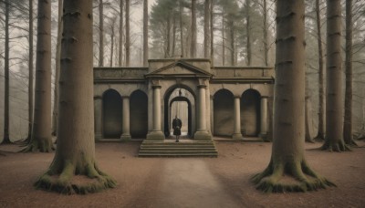 1girl,solo,outdoors,day,from behind,tree,no humans,nature,scenery,forest,stairs,pillar,bare tree,blonde hair,1boy,standing,grass,arch