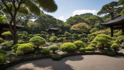 outdoors,sky,day,cloud,tree,blue sky,no humans,shadow,grass,building,nature,scenery,forest,road,bush,torii,architecture,east asian architecture,shrine,path,stone lantern,water,rock,landscape,pond