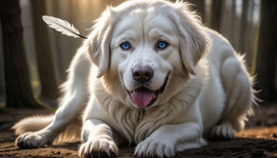 HQ,solo,looking at viewer,open mouth,blue eyes,full body,outdoors,tongue,signature,tongue out,blurry,tree,no humans,blurry background,animal,feathers,nature,claws,forest,dog,realistic,animal focus