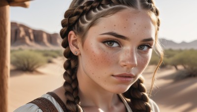 1girl,solo,long hair,looking at viewer,brown hair,shirt,brown eyes,jewelry,closed mouth,white shirt,braid,earrings,outdoors,day,blurry,twin braids,lips,eyelashes,depth of field,blurry background,portrait,freckles,realistic,nose,stud earrings,bangs,artist name,signature,sunlight,hair over shoulder,forehead,mountain,dirty