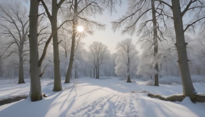 outdoors,sky,day,tree,no humans,shadow,sunlight,nature,scenery,snow,forest,winter,bare tree,footprints,cloud,mountain,sun,landscape