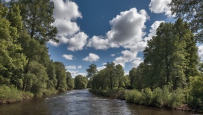 outdoors,sky,day,cloud,water,tree,blue sky,no humans,sunlight,cloudy sky,grass,nature,scenery,forest,road,bush,landscape,path,plant