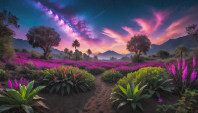 flower, outdoors, sky, cloud, tree, no humans, night, grass, plant, star (sky), nature, night sky, scenery, starry sky, sunset, mountain, road, shooting star, path, purple sky