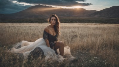 1girl,solo,long hair,breasts,looking at viewer,smile,large breasts,brown hair,black hair,dress,cleavage,bare shoulders,brown eyes,medium breasts,sitting,collarbone,pantyhose,outdoors,sky,day,cloud,dark skin,off shoulder,dark-skinned female,lips,see-through,sunlight,cloudy sky,grass,scenery,knee up,mountain,realistic,sun,field,hair ornament,short sleeves,hair flower