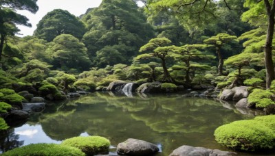 outdoors,sky,day,water,tree,no humans,sunlight,grass,nature,scenery,forest,reflection,rock,river,landscape,lake,moss,stream,cloud,pond,reflective water