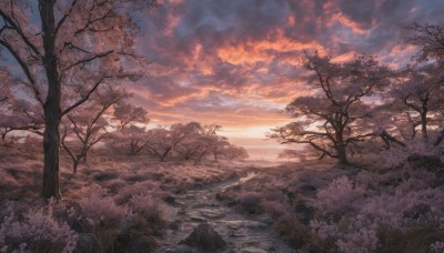 outdoors,sky,cloud,water,tree,no humans,sunlight,cloudy sky,grass,cherry blossoms,nature,scenery,forest,sunset,branch,river,evening,landscape,gradient sky,flower,ocean,plant,rock,mountain,horizon,twilight