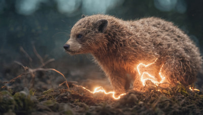 outdoors, blurry, no humans, depth of field, blurry background, animal, realistic, electricity, giant, whiskers, oversized animal