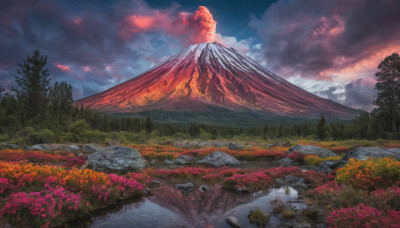 flower, outdoors, sky, cloud, water, tree, no humans, cloudy sky, grass, nature, scenery, forest, rock, mountain, river, landscape