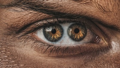 solo,looking at viewer,1boy,flower,black eyes,eyelashes,close-up,1other,reflection,sunflower,horror (theme),eye focus,short hair,bangs,black hair,yellow eyes,male focus,multiple boys,2boys,brown theme