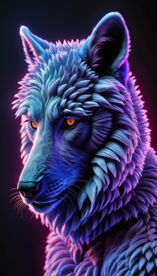 solo,looking at viewer,simple background,closed mouth,yellow eyes,from side,orange eyes,no humans,animal,slit pupils,black background,portrait,furry,purple background,furry male,animal focus,whiskers,profile,colored sclera,realistic,wolf