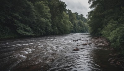 outdoors,sky,day,cloud,water,tree,no humans,cloudy sky,nature,scenery,forest,rock,road,river,landscape,stream,grass,snow,grey sky,overcast