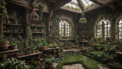 flower,day,indoors,water,blurry,book,no humans,window,depth of field,chair,table,sunlight,grass,plant,scenery,stairs,bookshelf,potted plant,ruins,vines,shelf,arch,moss,barrel,overgrown,ivy