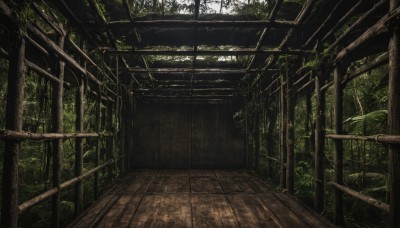 outdoors,day,indoors,tree,dutch angle,no humans,leaf,sunlight,plant,nature,scenery,forest,ruins,moss,overgrown,wooden floor,vines