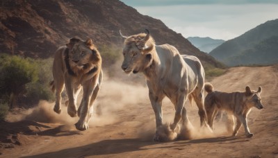 outdoors,multiple boys,horns,sky,day,tree,no humans,shadow,animal,nature,scenery,walking,running,mountain,realistic,road,riding,horse,goat,chinese zodiac,animal focus,cow