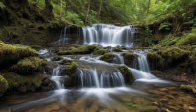 outdoors,day,water,tree,no humans,sunlight,nature,scenery,forest,rock,river,waterfall,landscape,moss,stream,plant,branch