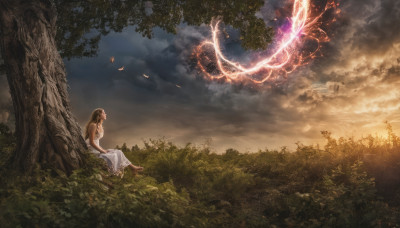 1girl, solo, long hair, brown hair, dress, sitting, outdoors, sky, barefoot, cloud, white dress, tree, cloudy sky, nature, scenery