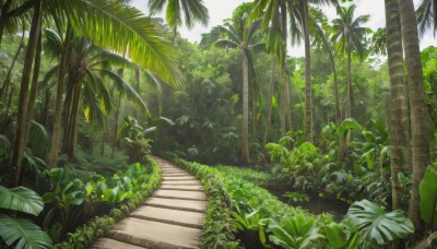 outdoors,sky,day,cloud,tree,no humans,leaf,sunlight,grass,plant,nature,scenery,forest,stairs,palm tree,bush,green theme