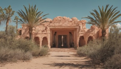 outdoors,sky,day,cloud,tree,blue sky,no humans,window,shadow,grass,plant,building,scenery,sand,palm tree,door,bush,ruins,desert,rock,arch