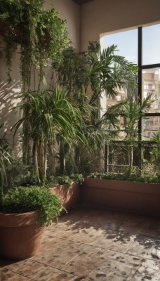 outdoors,sky,day,indoors,tree,no humans,window,shadow,sunlight,plant,building,scenery,potted plant,flower pot,cloud,blue sky,door,tiles,shade,tile floor