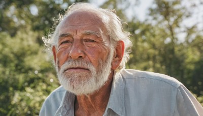 solo,looking at viewer,blue eyes,shirt,1boy,closed mouth,white shirt,upper body,white hair,male focus,outdoors,day,collared shirt,blurry,depth of field,blurry background,facial hair,half-closed eyes,portrait,beard,realistic,mustache,manly,old,old man,wrinkled skin,lips,scar,sunlight,wing collar,scar on face,nose,bokeh