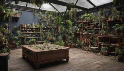 day,indoors,no humans,window,chair,table,plant,scenery,wooden floor,potted plant,shelf,book,bookshelf,ruins,ceiling,overgrown