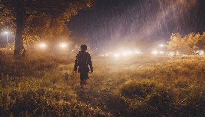 solo,short hair,black hair,long sleeves,1boy,standing,male focus,outdoors,sky,water,from behind,tree,coat,night,grass,nature,scenery,forest,walking,rain,light rays,arms at sides,light,dark