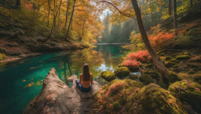 1girl, solo, long hair, brown hair, shirt, sitting, outdoors, day, pants, water, from behind, tree, leaf, sunlight, denim, nature, scenery, forest, jeans, rock, autumn leaves, river, autumn