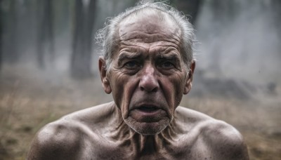 solo,looking at viewer,1boy,closed mouth,collarbone,upper body,white hair,male focus,outdoors,blurry,black eyes,blurry background,facial hair,portrait,beard,realistic,manly,old,old man,wrinkled skin,grey hair,nude,grey eyes,scar