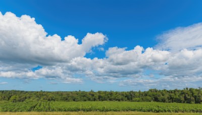 outdoors,sky,day,cloud,tree,blue sky,no humans,cloudy sky,grass,nature,scenery,forest,field,landscape