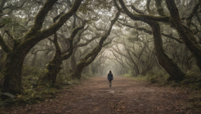 solo, brown hair, 1boy, outdoors, tree, sunlight, grass, nature, scenery, forest, walking, road, path