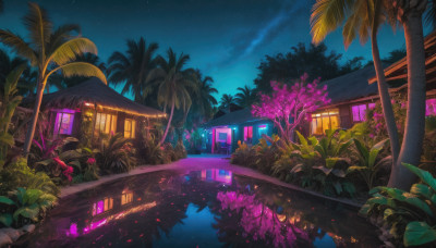 outdoors, sky, water, tree, no humans, window, night, plant, ground vehicle, building, star (sky), night sky, scenery, starry sky, reflection, palm tree, house