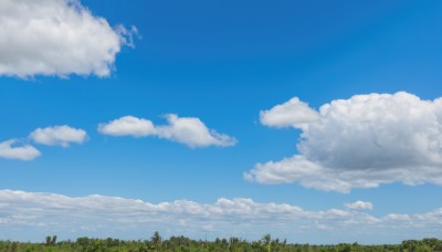 outdoors,sky,day,cloud,tree,blue sky,no humans,cloudy sky,grass,nature,scenery,forest