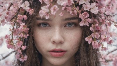 1girl, solo, long hair, looking at viewer, brown hair, flower, parted lips, teeth, blurry, lips, grey eyes, depth of field, cherry blossoms, portrait, close-up, freckles, realistic, nose, branch