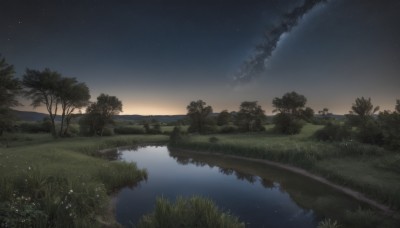 flower,outdoors,sky,cloud,water,tree,no humans,night,grass,plant,star (sky),nature,night sky,scenery,forest,starry sky,reflection,river,lake,sunset,horizon,landscape,gradient sky,reflective water