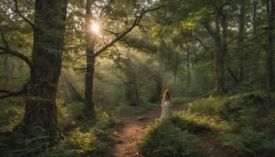 1girl,solo,long hair,brown hair,dress,standing,outdoors,from behind,white dress,tree,leaf,sunlight,grass,plant,nature,scenery,forest,fantasy,path,day,orange hair,light rays,facing away,road,bush,wide shot