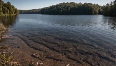 outdoors,sky,day,water,tree,no humans,leaf,grass,nature,scenery,forest,reflection,river,landscape,lake,blue sky,realistic,shore