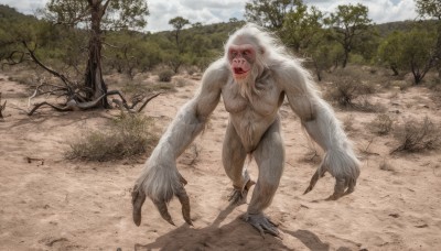 solo,open mouth,1boy,outdoors,sky,teeth,day,cloud,tree,no humans,shadow,fangs,nature,claws,forest,monster,realistic,fur,horror (theme),long hair,looking at viewer,standing,full body,white hair,male focus,nude,muscular,running,old,old man