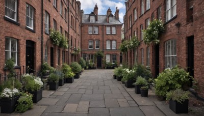 flower,outdoors,sky,day,cloud,tree,blue sky,no humans,window,plant,building,scenery,stairs,door,potted plant,road,bush,house,flower pot,balcony,pavement,cloudy sky,street