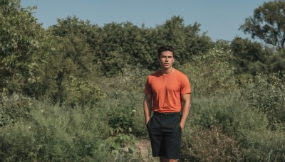 solo,looking at viewer,short hair,shirt,black hair,1boy,standing,short sleeves,male focus,outdoors,sky,shorts,day,pants,black eyes,tree,blue sky,feet out of frame,black shorts,black pants,t-shirt,red shirt,nature,realistic,hands in pockets,orange shirt,photo background,grass,bush,foliage