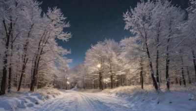 1boy,outdoors,sky,tree,coat,no humans,night,star (sky),nature,night sky,scenery,snow,forest,starry sky,snowing,winter clothes,road,winter,lamppost,bare tree,footprints,pine tree,landscape