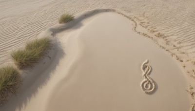 outdoors,day,water,tree,no humans,shadow,from above,beach,grass,scenery,sand,road,shore,desert,footprints,multiple boys,tattoo,muscular,plant,realistic